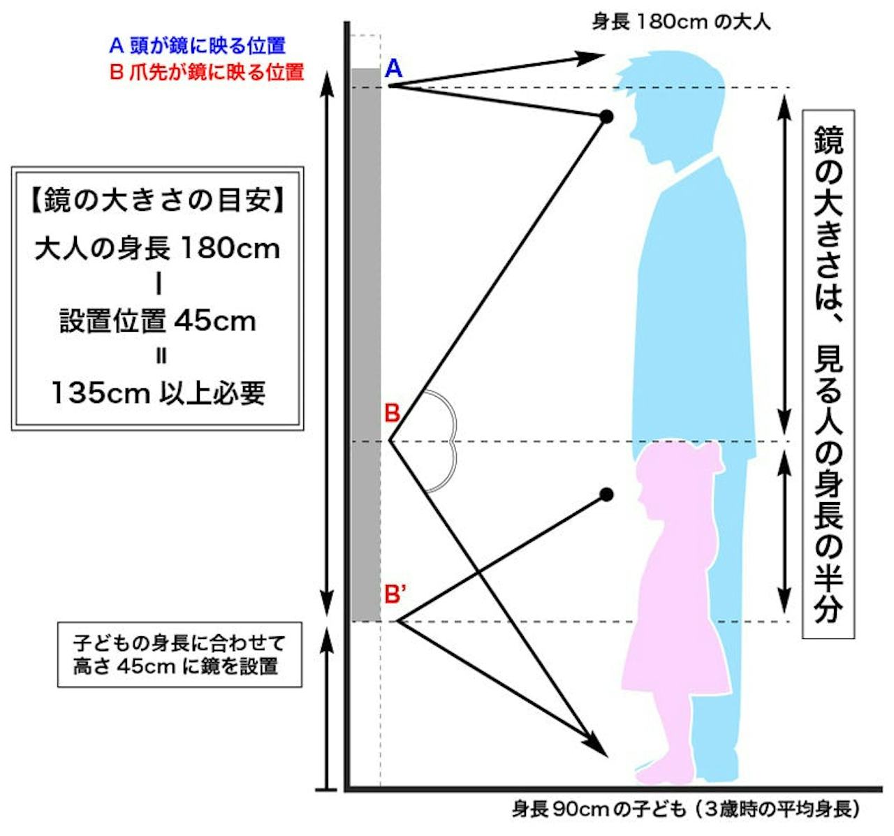 姿見のサイズについて(1)