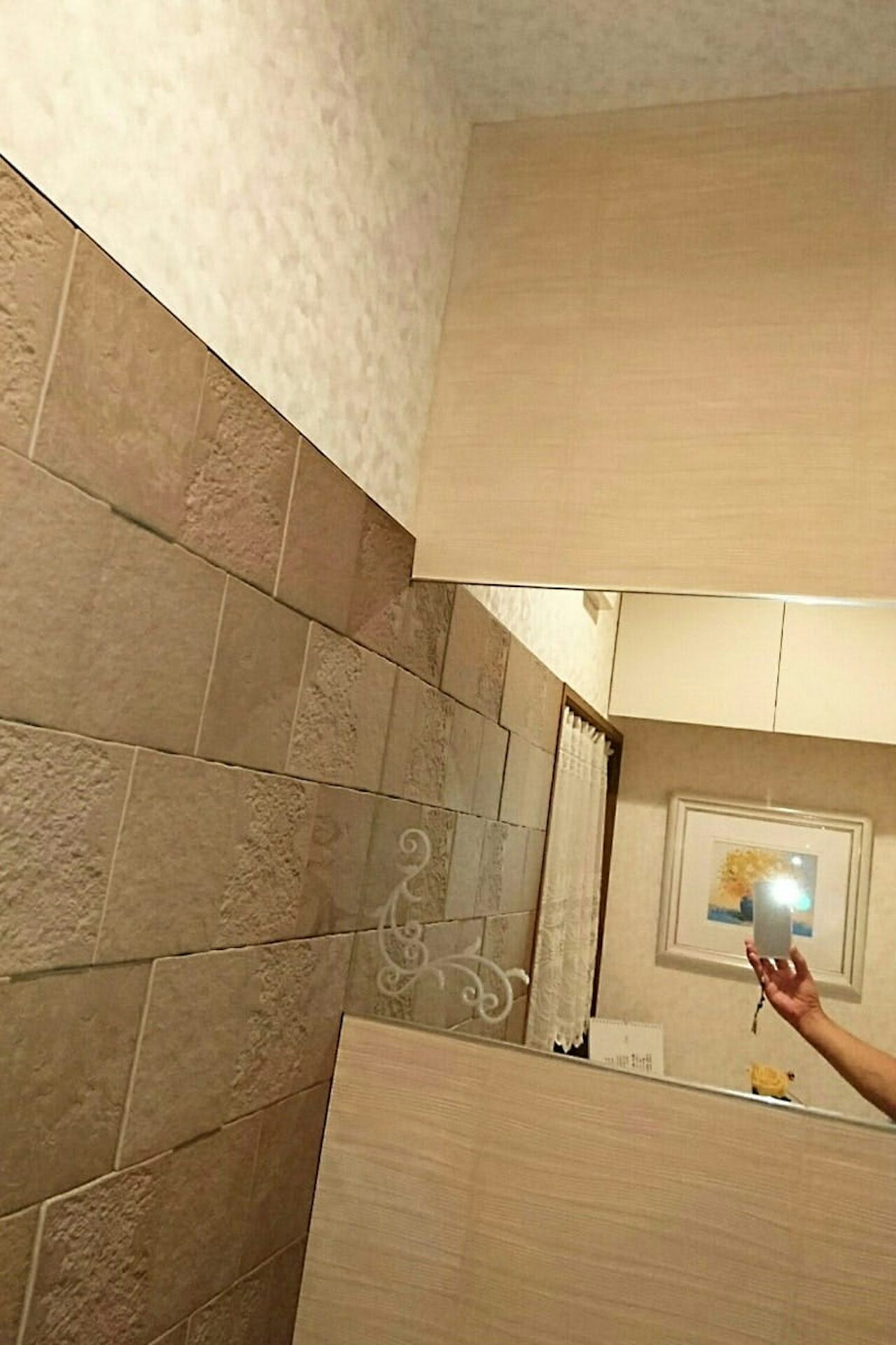 トイレの壁面に設置したエッチング加工の「普通ミラー」(1)