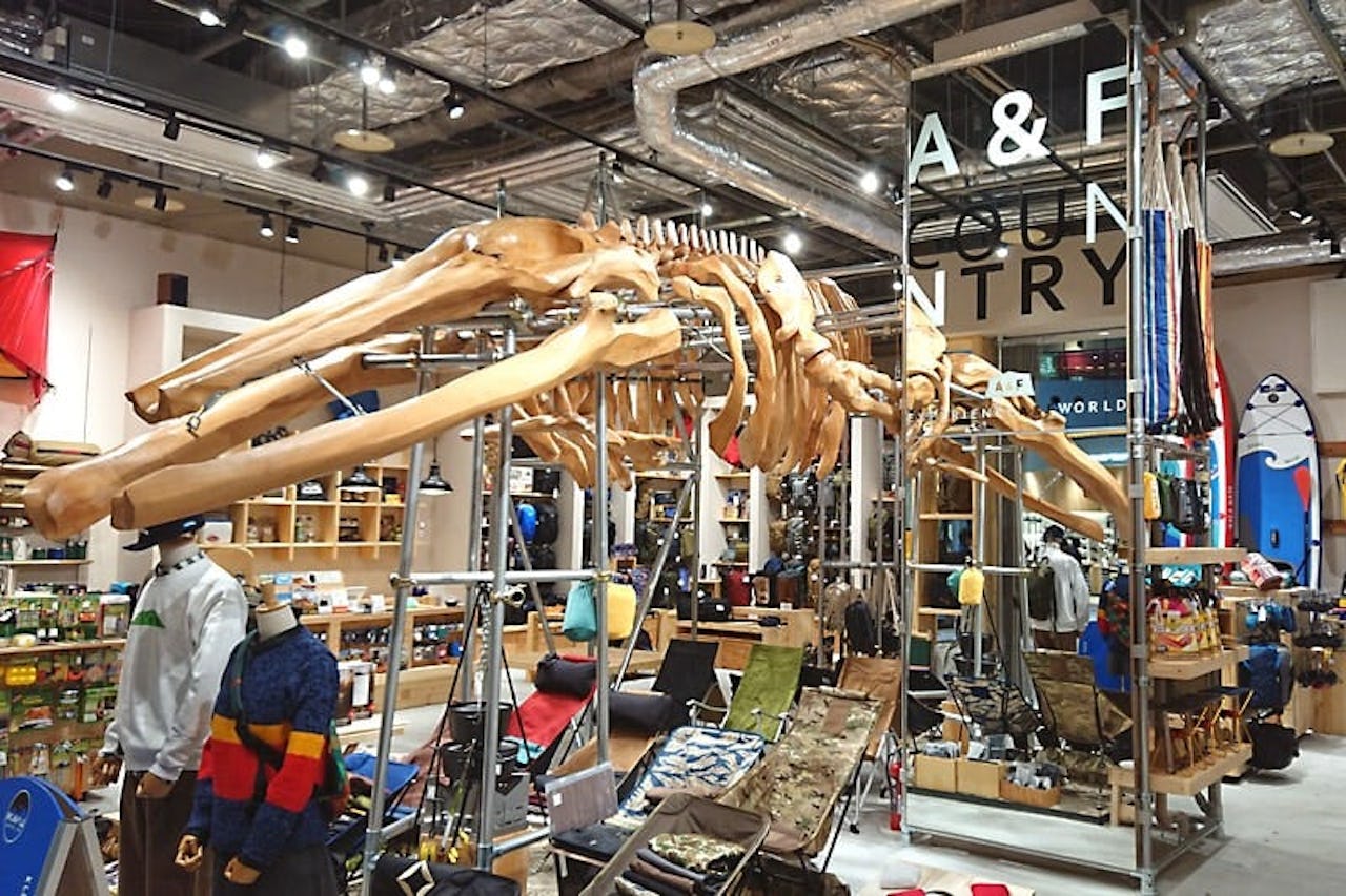 店舗の内装に使用した「透明ガラス」(3)