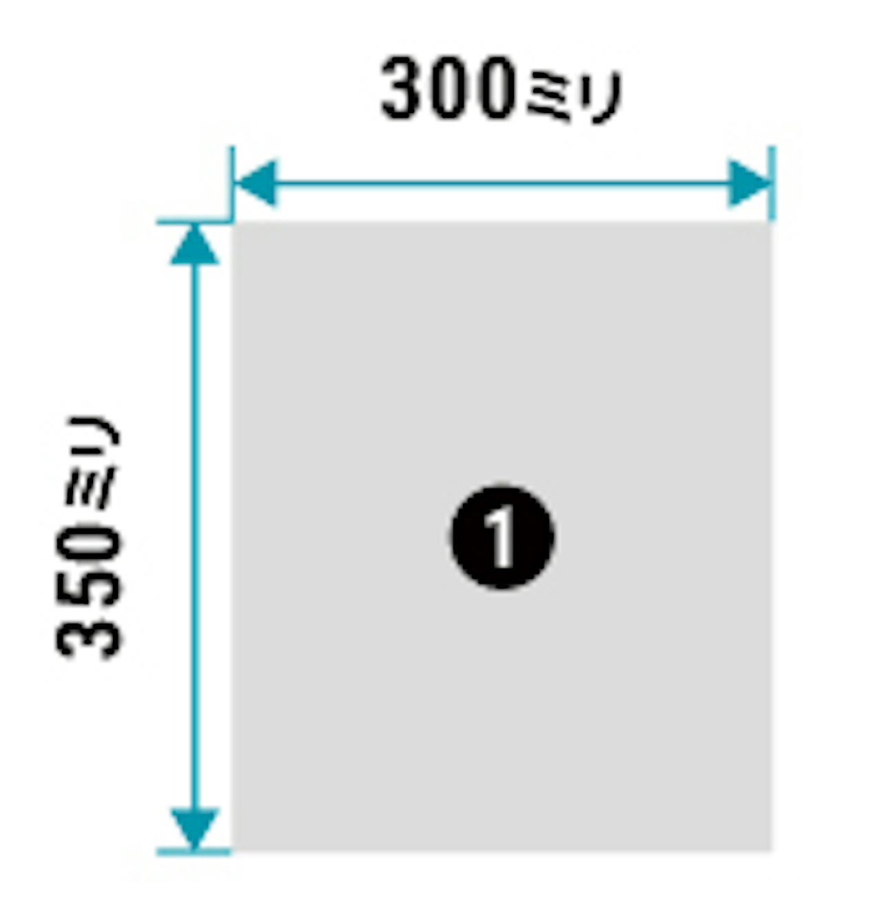 洗面鏡「クリアミラー」の規格サイズ(即日発送可)・① - 上半身が映るサイズ300×350ミリ