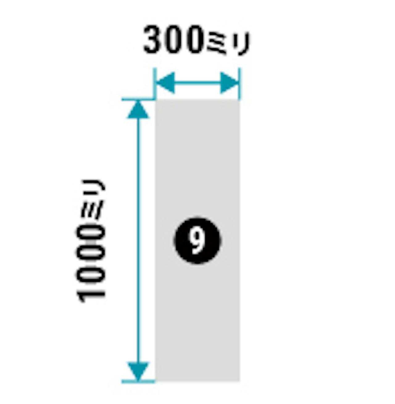 浴室鏡「防湿ミラーHG」の規格サイズ(即日発送可)⑨ - 300×1000ミリ