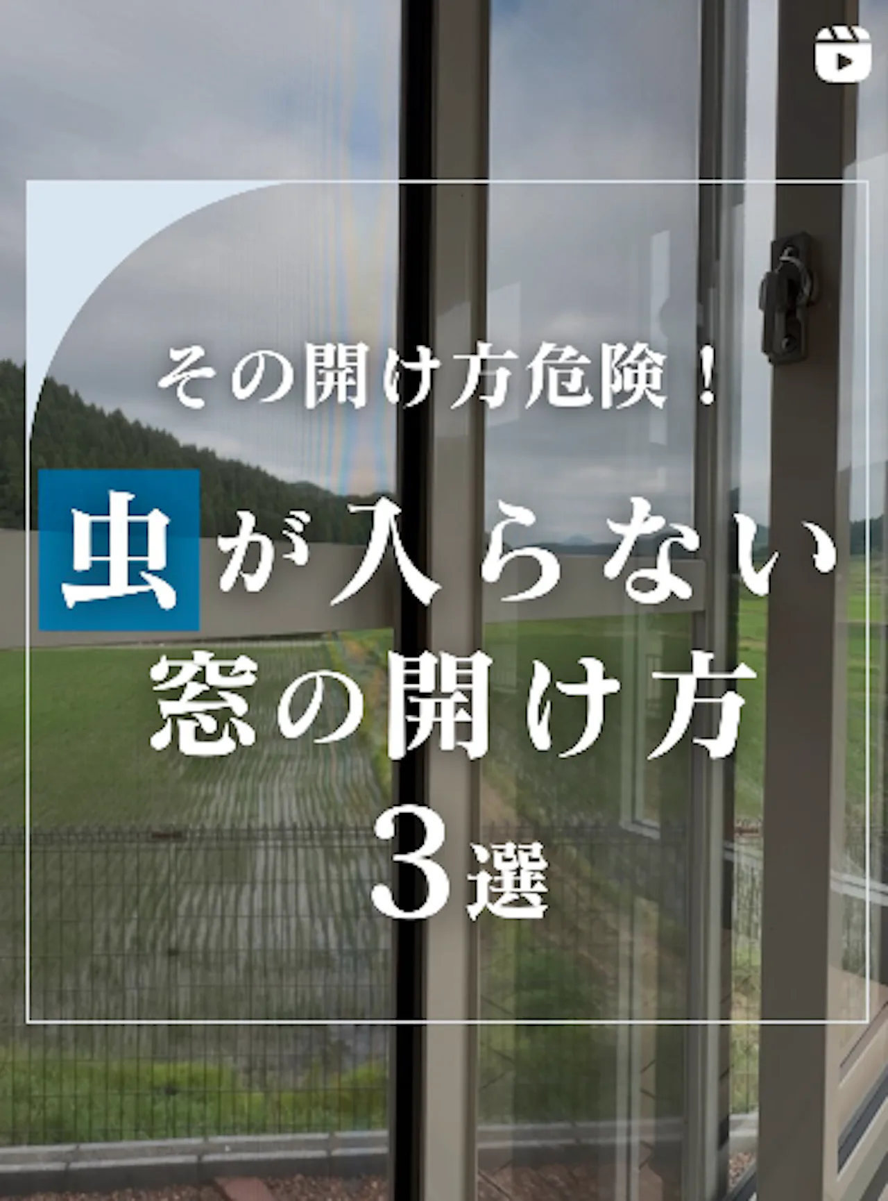 その開け方危険！虫が入らない窓の開け方3選