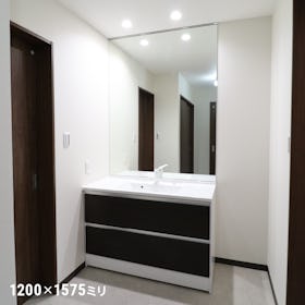 洗面台用の鏡「防湿ミラーST」 - 使用事例:洗面所の鏡に