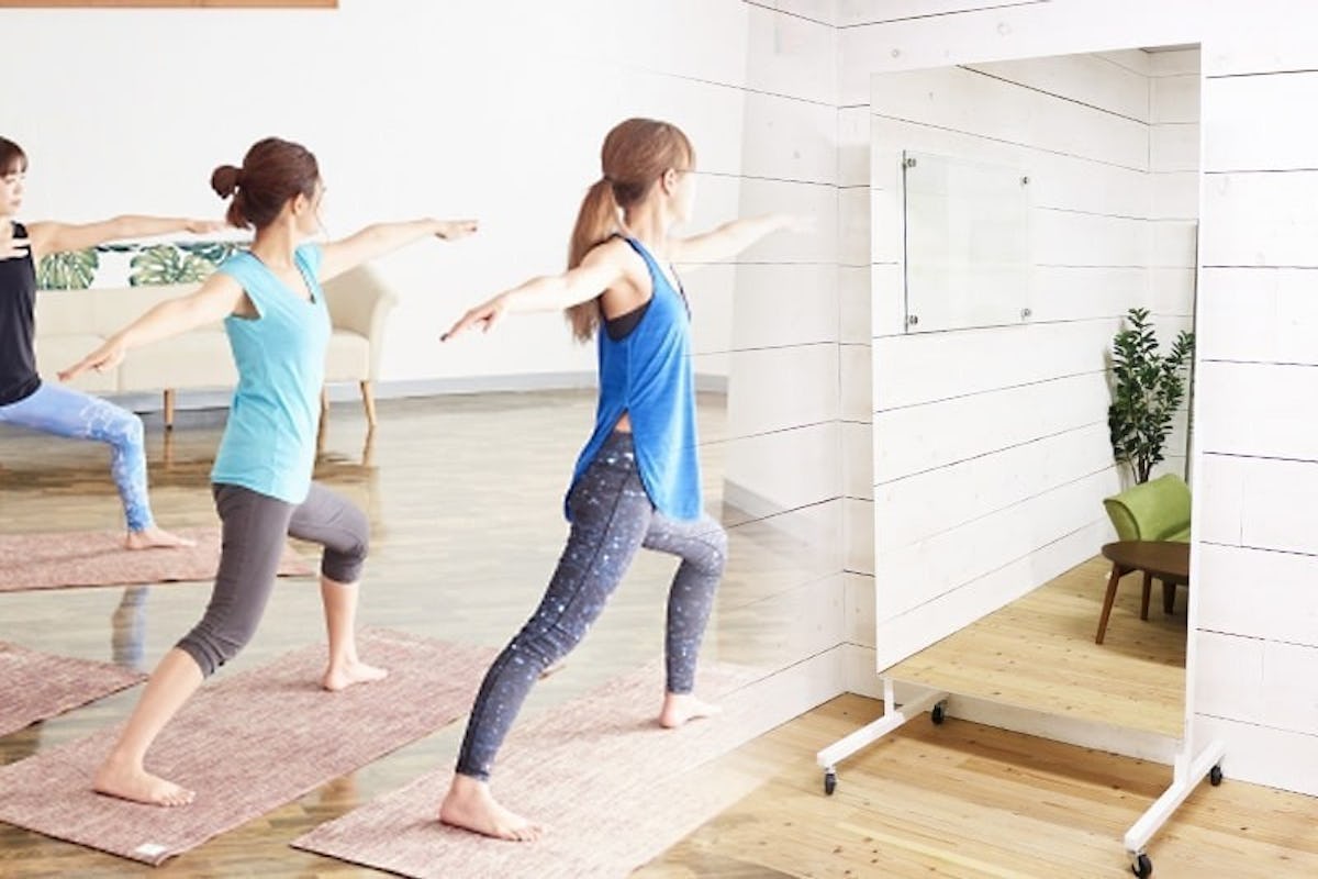 移動式スポーツミラー