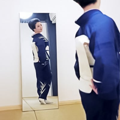 フィルムミラーの採用事例