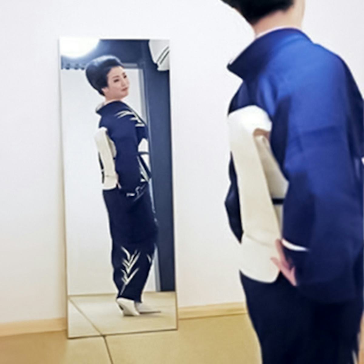 フィルムミラーの採用事例