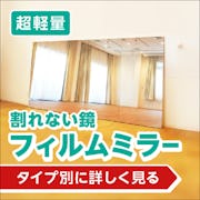 ＼軽量で割れない『フィルムミラー』／規格品は即日発送！カートからすぐ買える全15種をピックアップ！