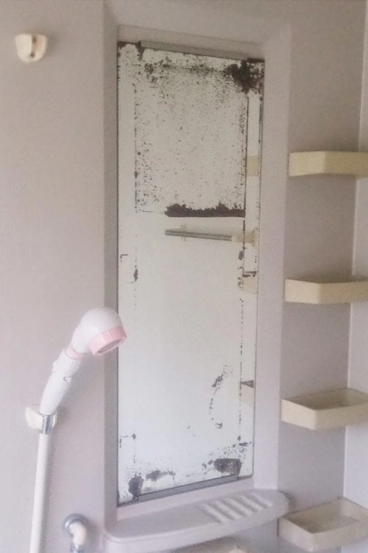 黒く腐食した縦長の浴室鏡を防湿ミラーHGに交換／C様 - 交換前