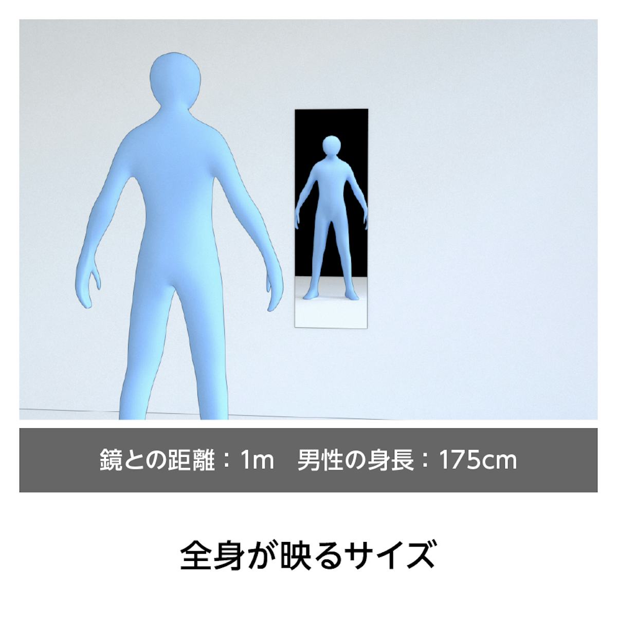 ステンレスミラー - サイズごとの映り方：400×1200ミリの場合　全身が映るサイズ