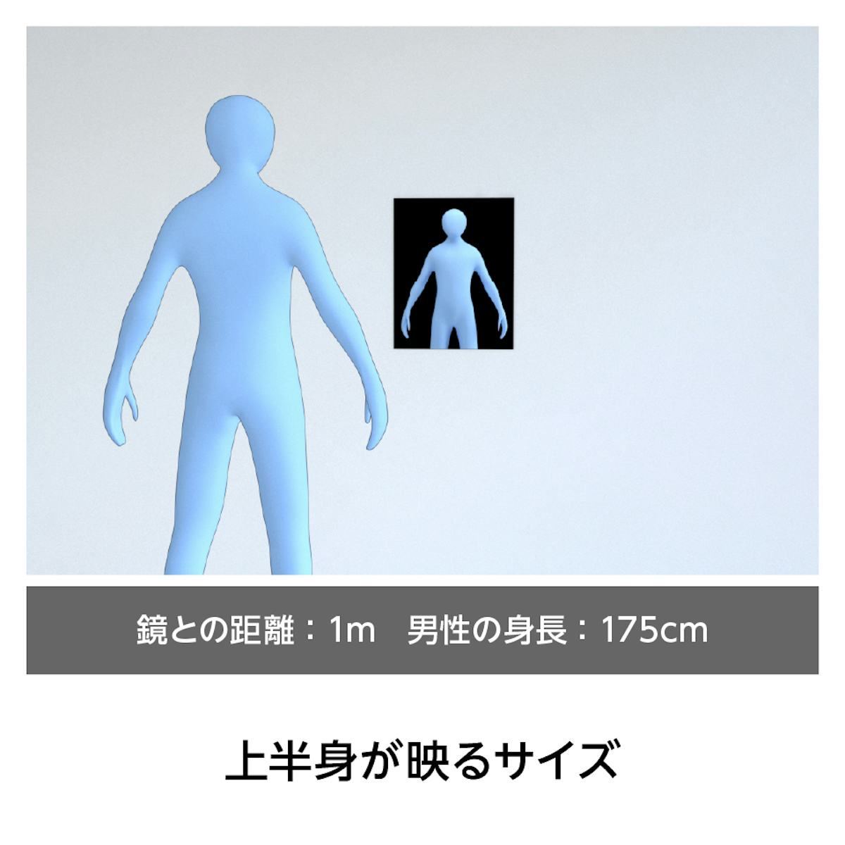ステンレスミラー - サイズごとの映り方：480×600ミリの場合　上半身が映るサイズ